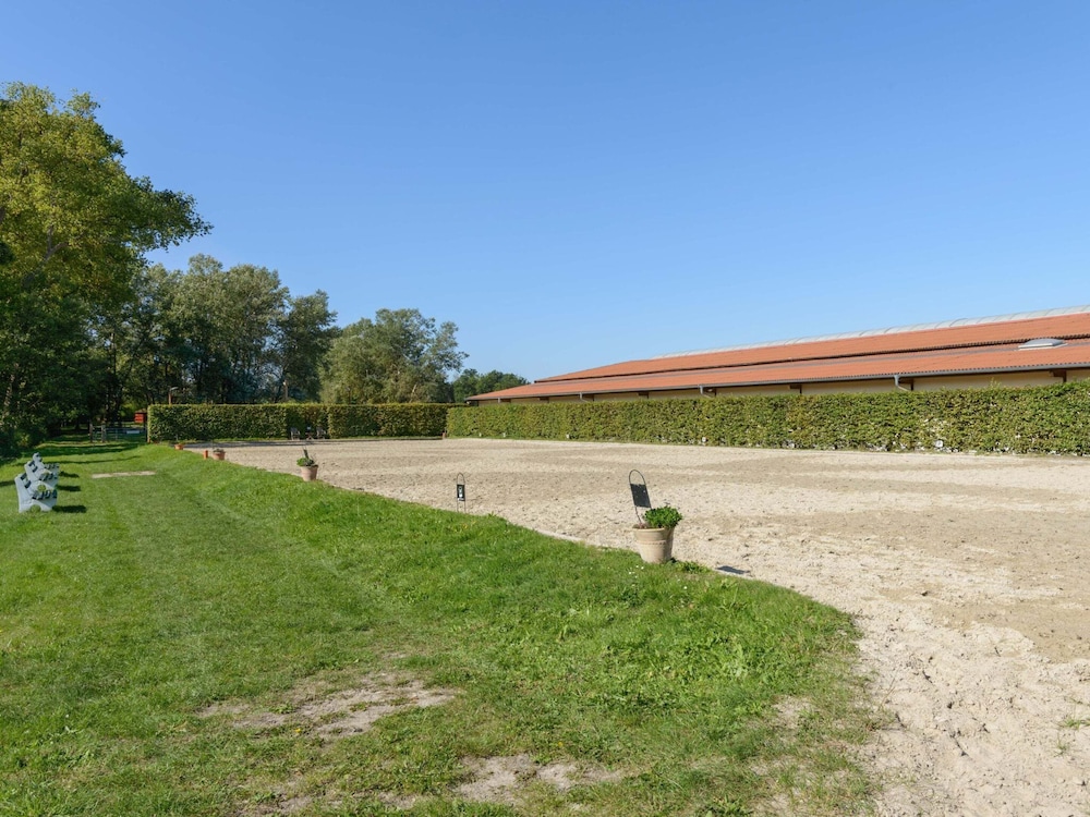 Cozy Holiday Home on a Horse Farm in the Luneburg Heath - Property Image 26