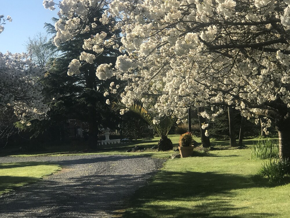 Newlands B&B