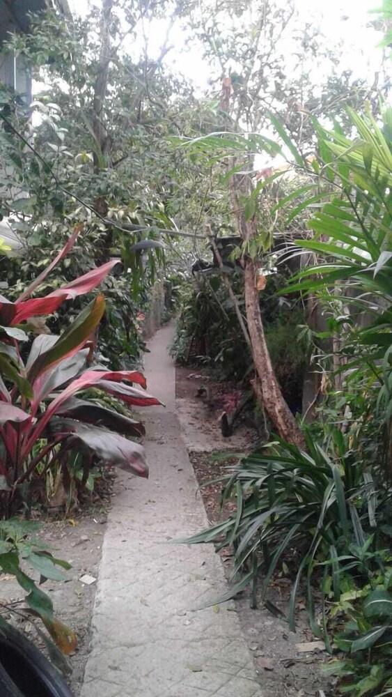 San Jose - Costa Rica Vacations - Hospedaje Alvarez Hosts - Property Image 1
