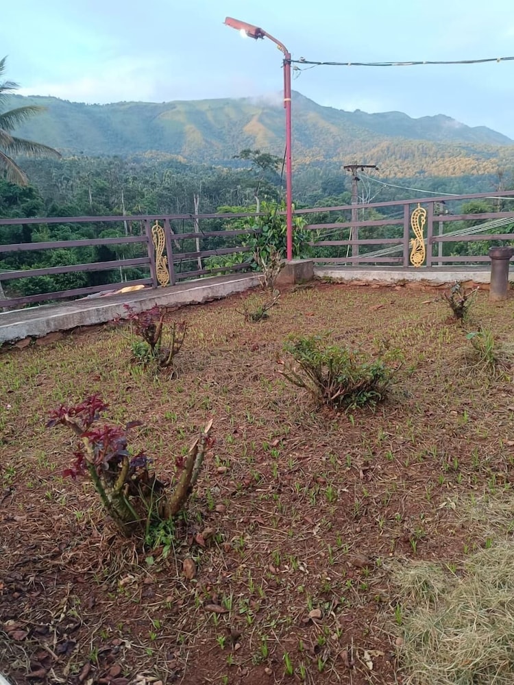 Cliff Haven Homestay