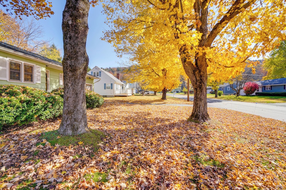 6 Mi to Skiing: Pet-friendly Home in Pittsfield!