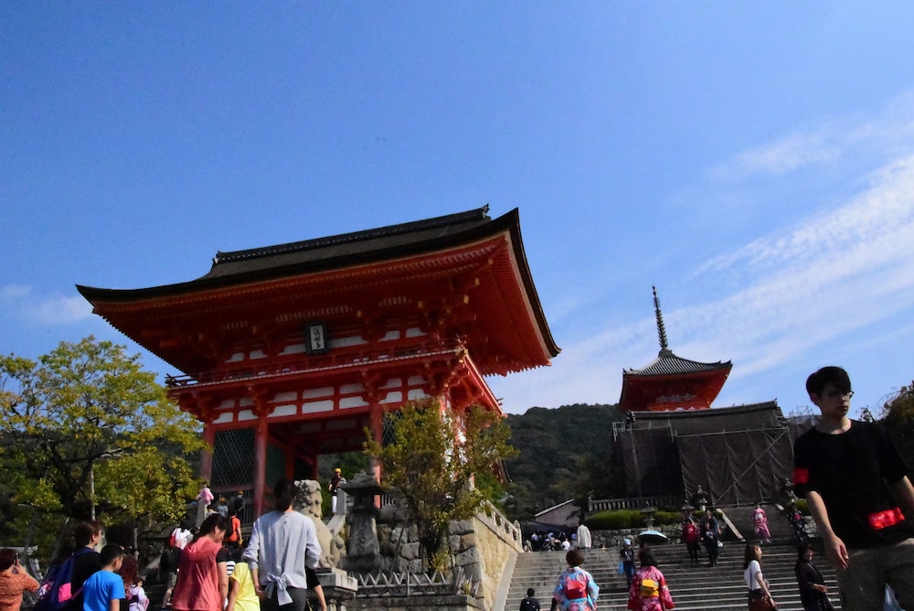 Photo 40