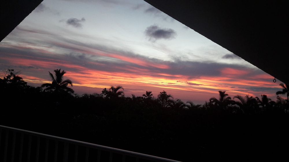 Photo 46