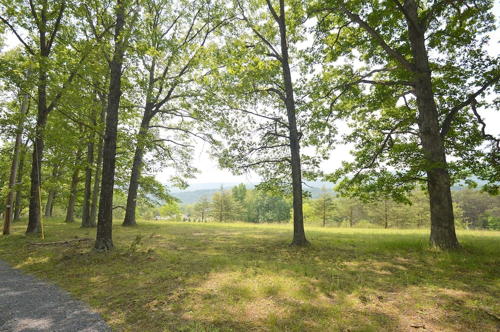 Black Bear Cabin - The Mountain Retreat!
