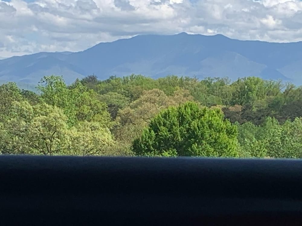 Mountain View Condo 3702