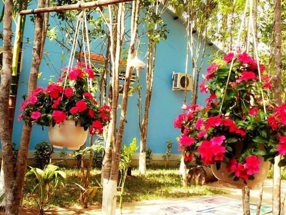 Duc Anh Garden Homestay