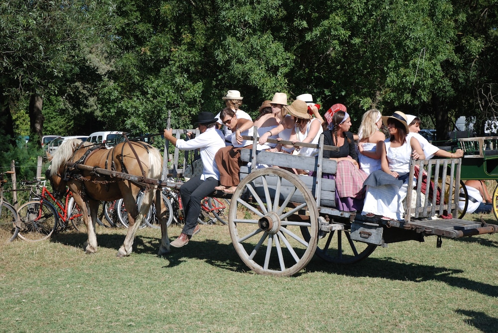 Le Mazet De Jean en Camargue