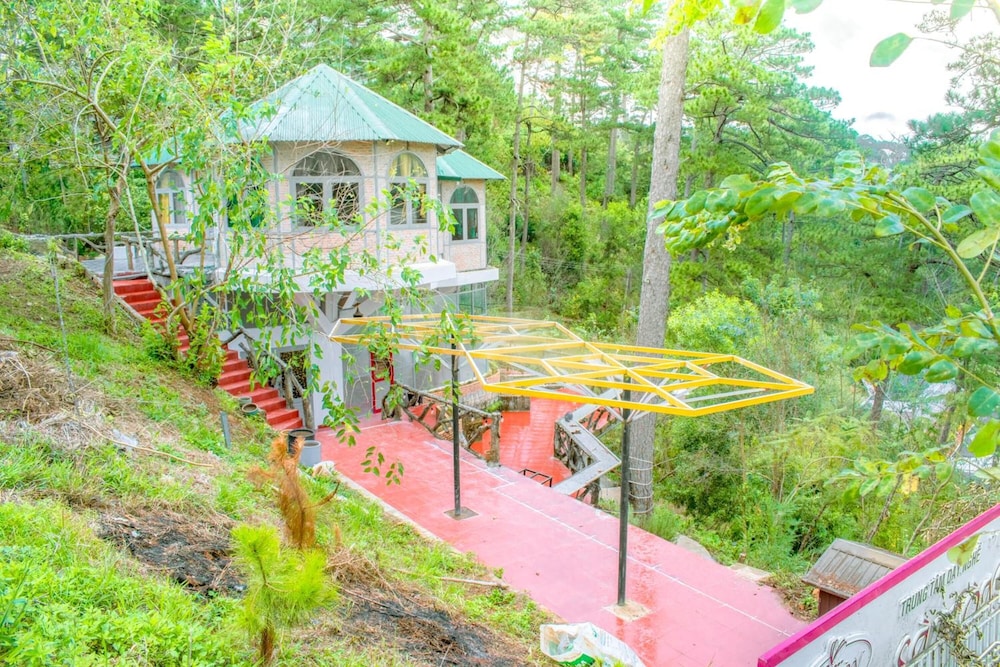 Maple Hostel