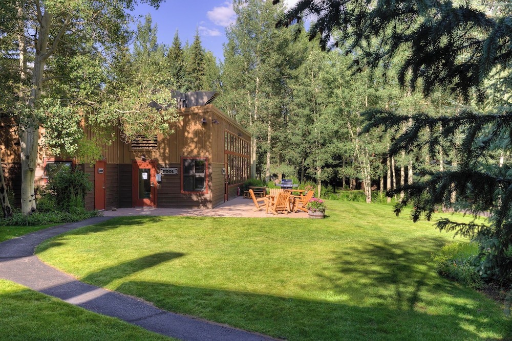 Lodgepole #2003