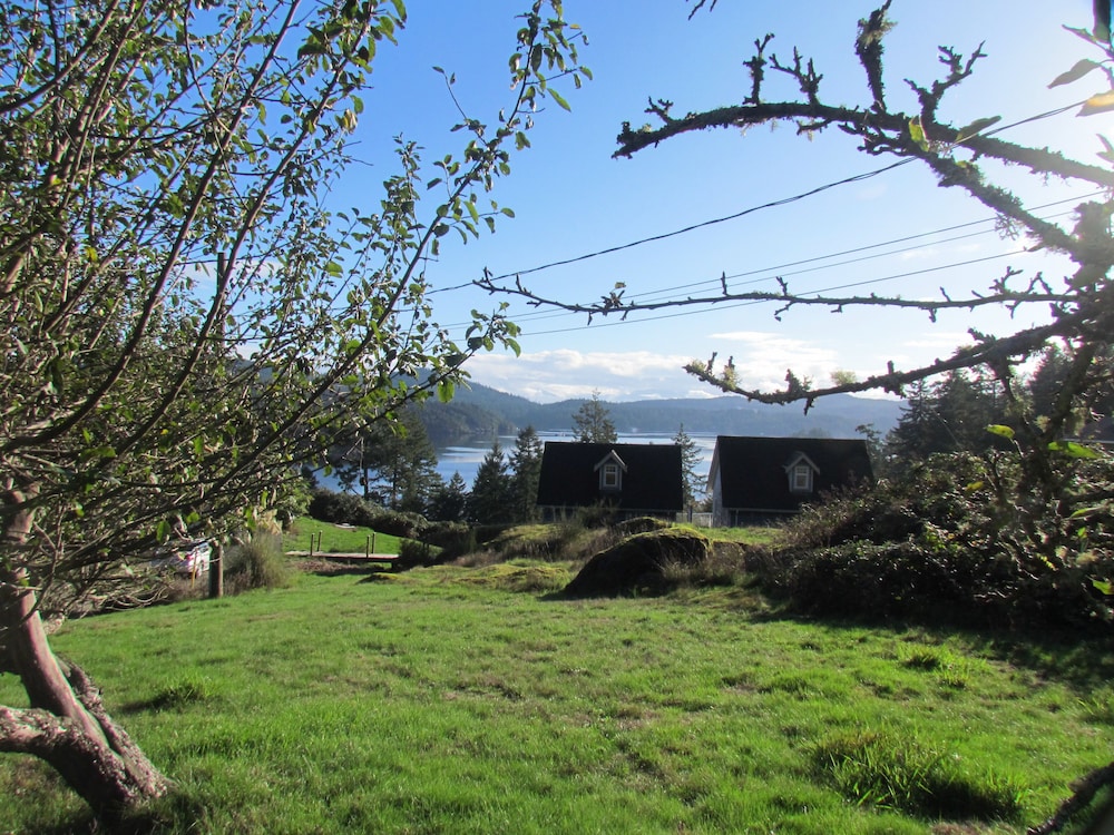 Moonlit Cove B&B