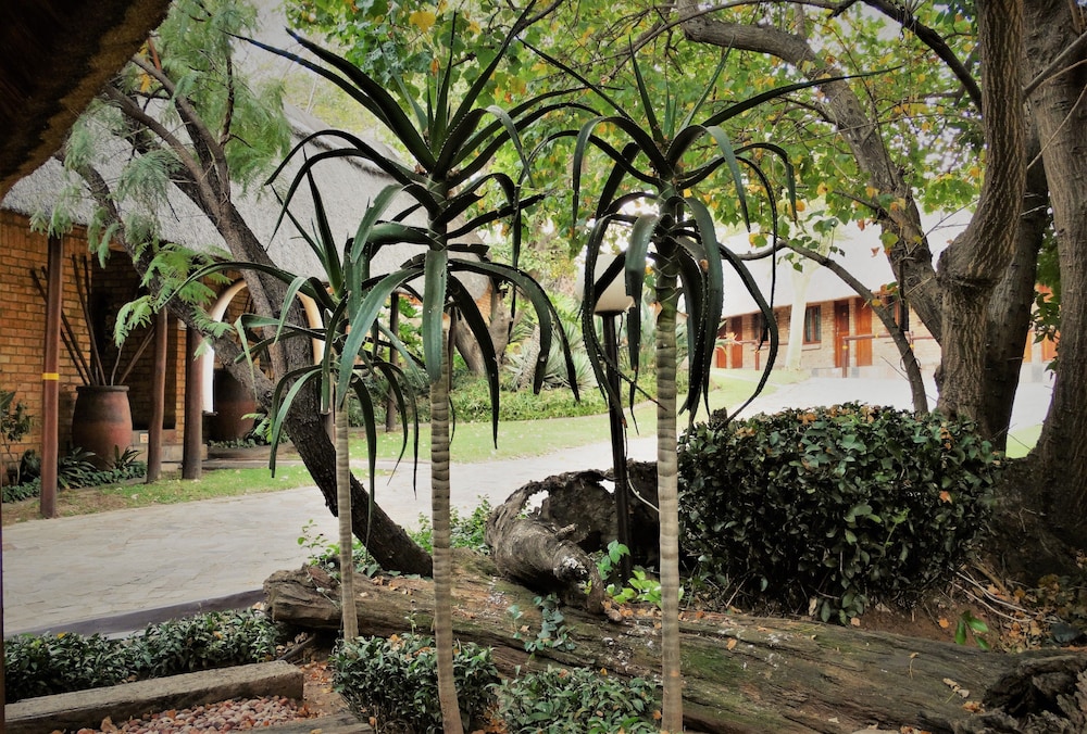 Klein Bosveld Guesthouse