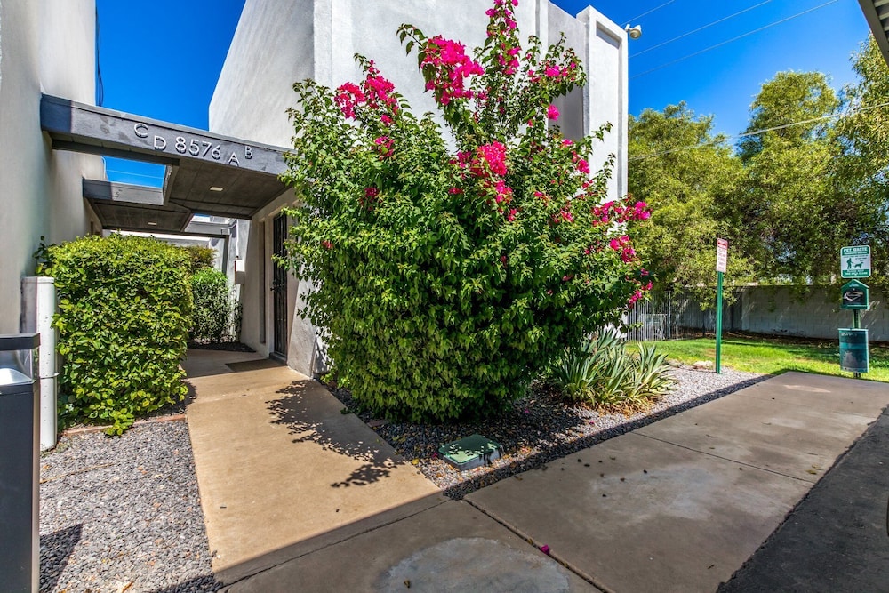 Blue Abode - Old Town Scottsdale - Pool &bbq Grill
