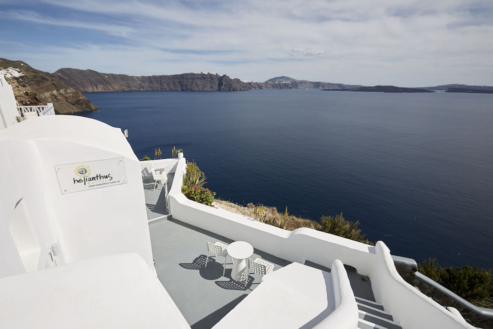 Helianthus Suites