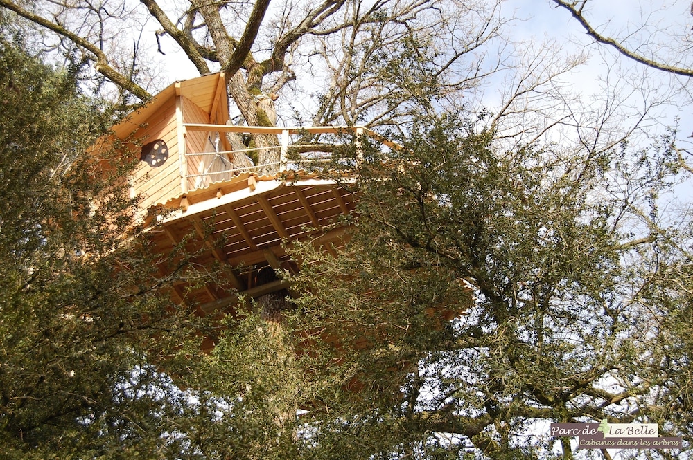 Photo 85
