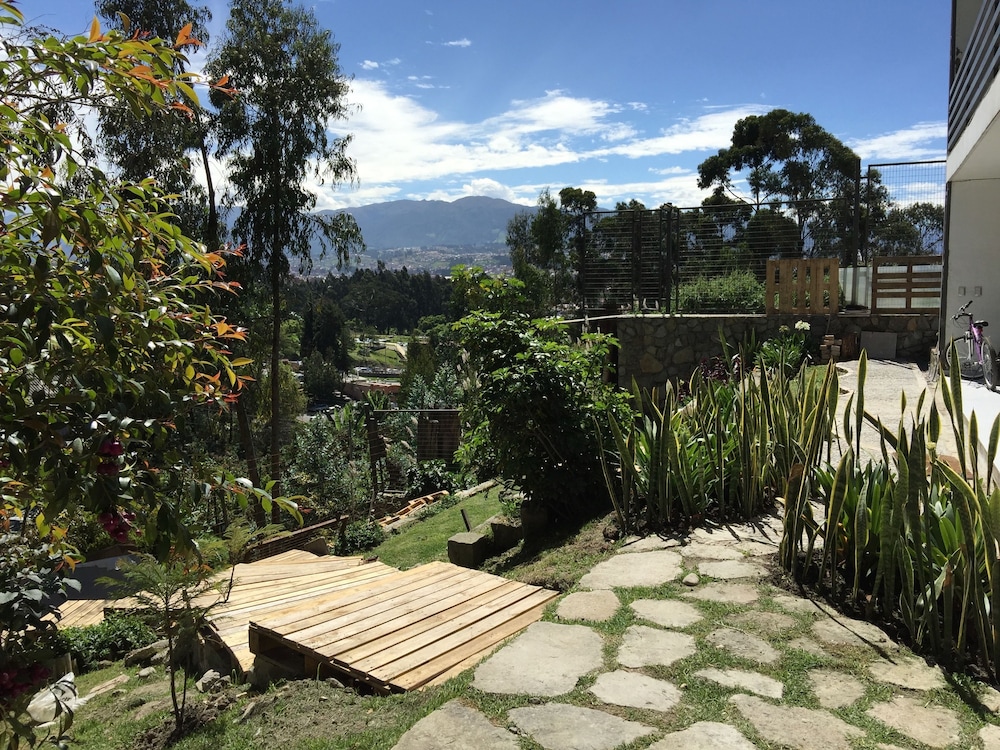 Bambu Sierra