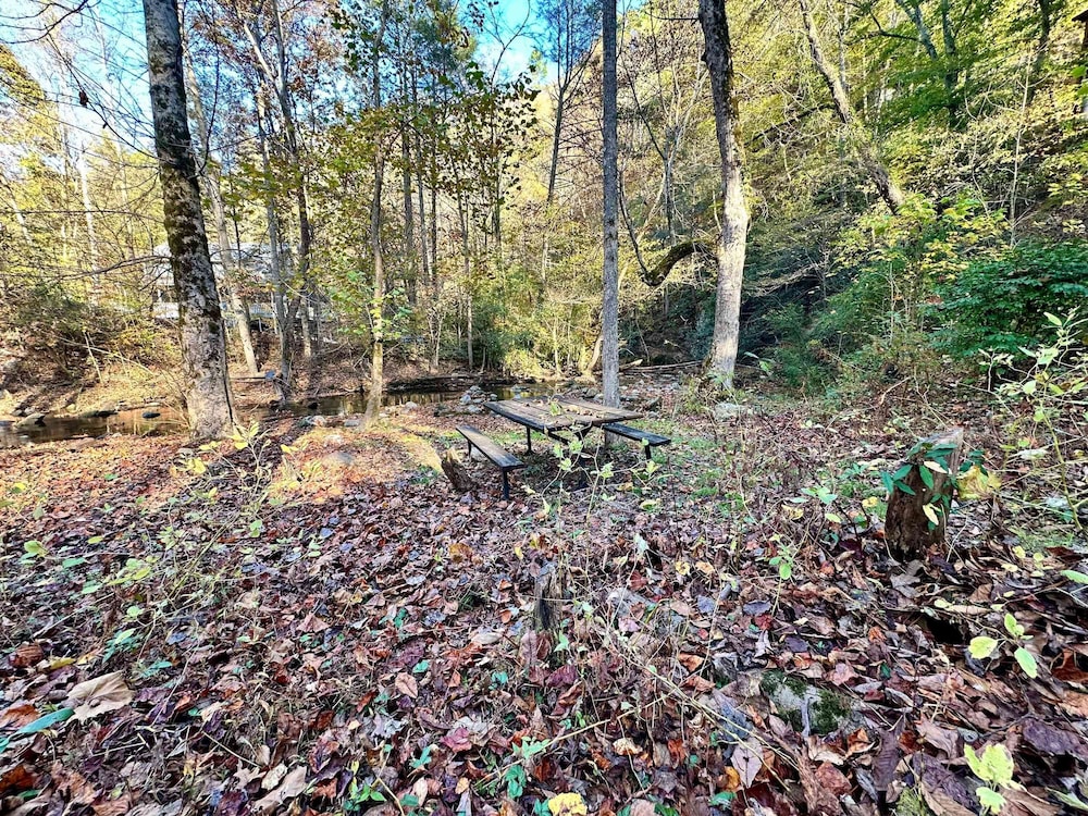 Cove Creek Overlook