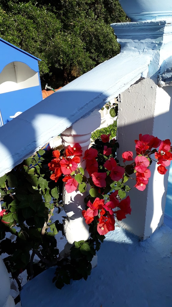 Meltemia Studios Samos