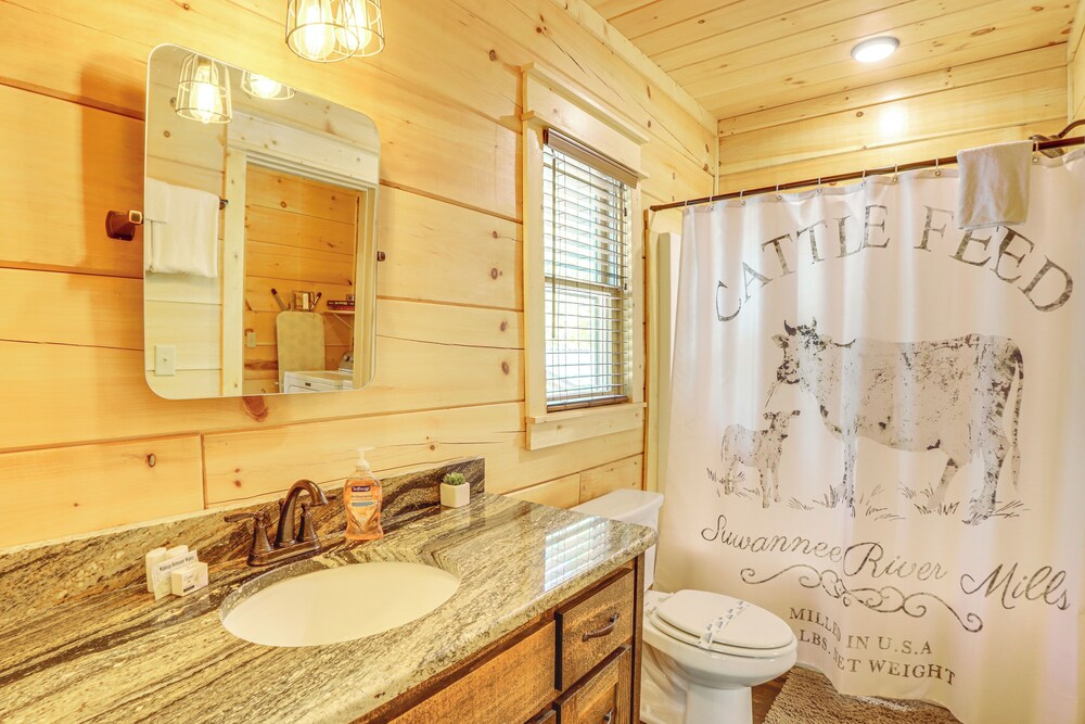 Ellijay Mountain Cabin w/ Hot Tub & Spacious Deck