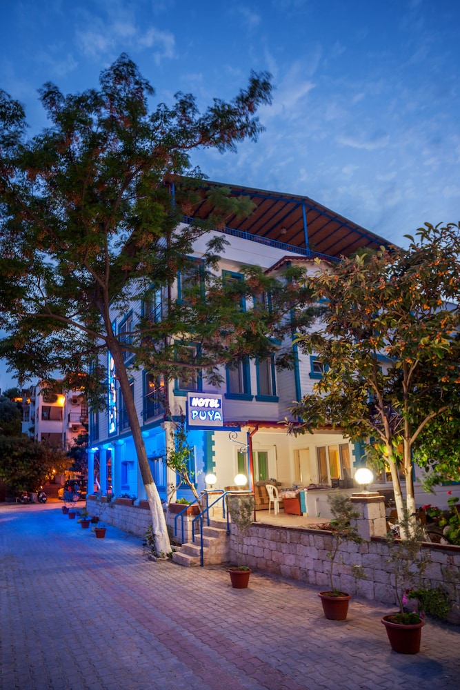 Hotel Puya