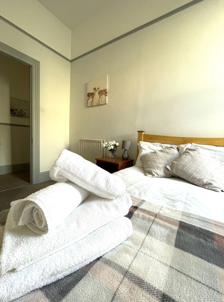 Lovely Victorian Apartment in Clifton Village view 5