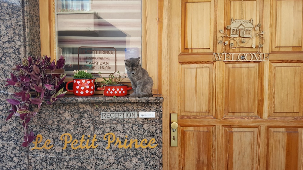Le Petit Prince