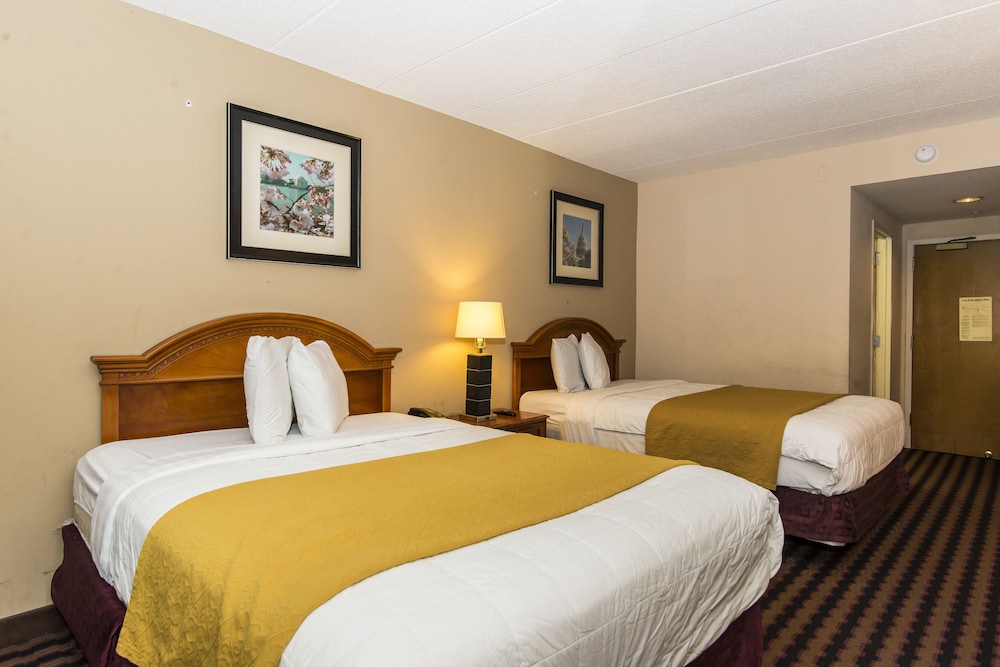 Laurel Vacations - Garden Inn - Property Image 23