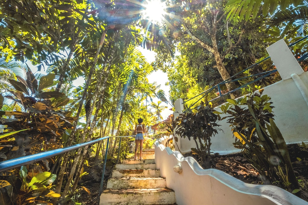 Selina Manuel Antonio - Hostel