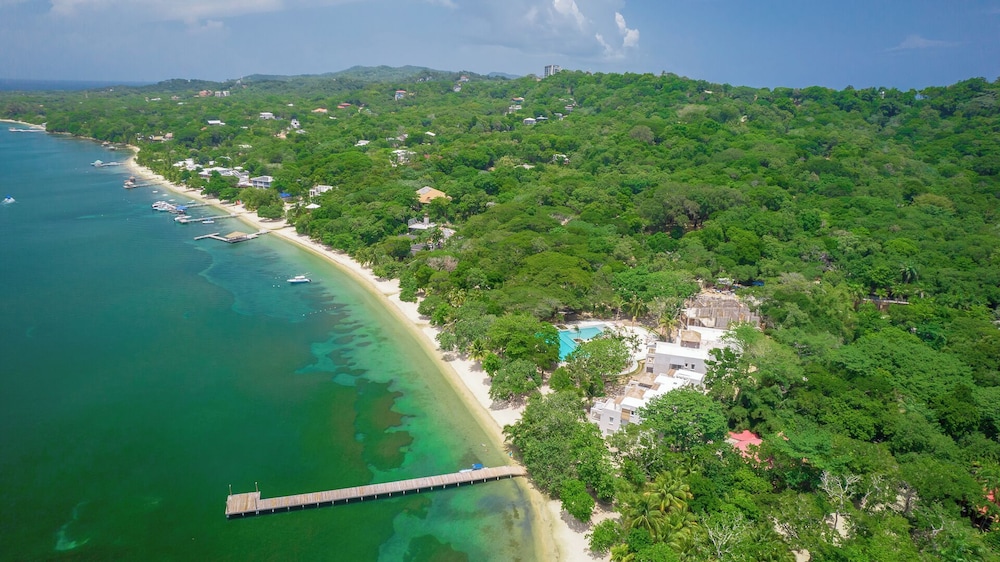 Watercolors Roatan