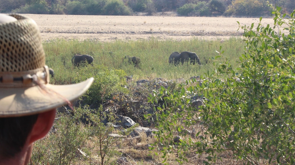 Mthimkhulu Private Game Reserve- Adults Only
