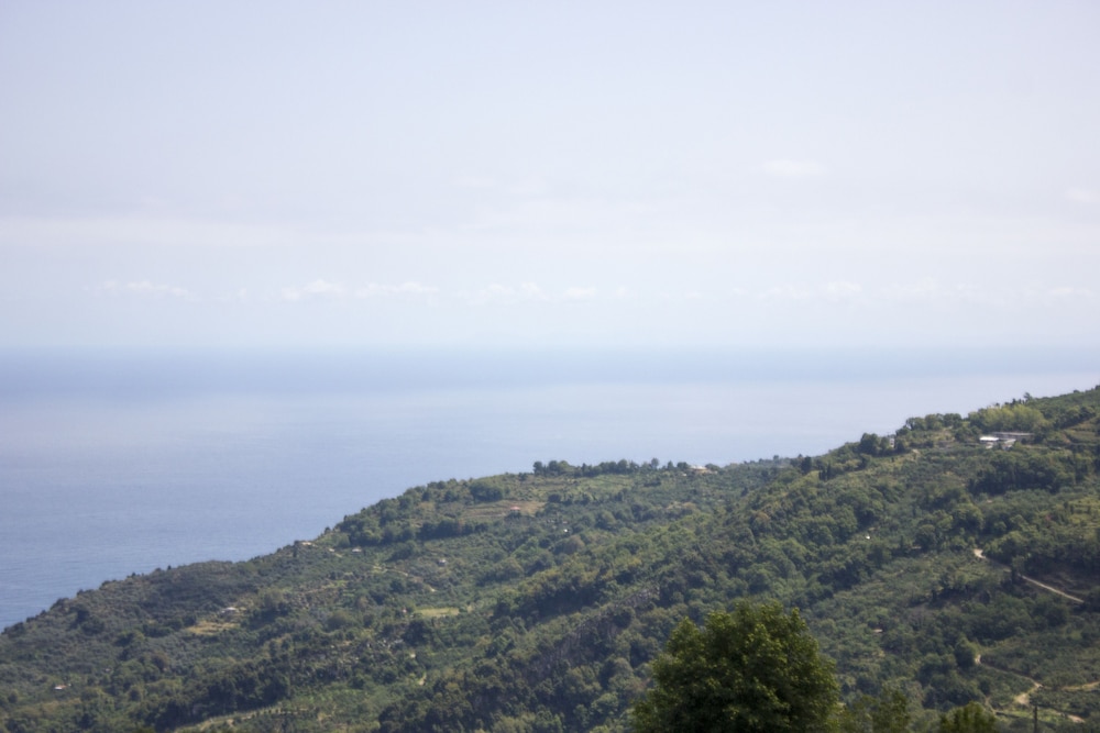 Guesthouse Papagiannopoulou