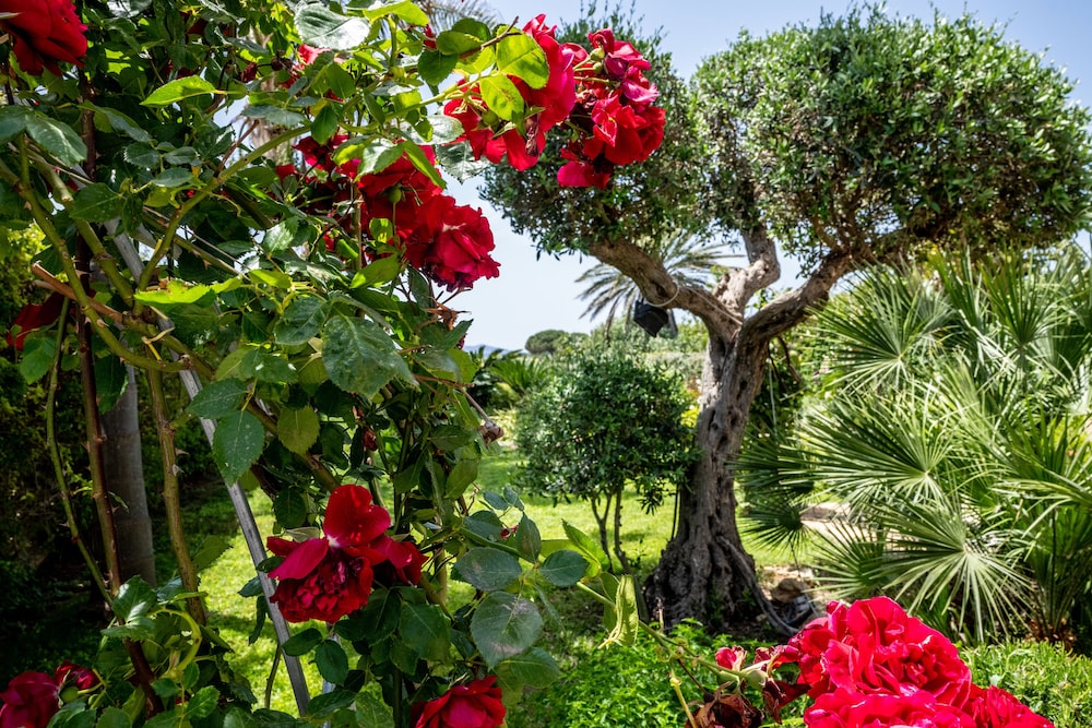 Vista Egadi B&B