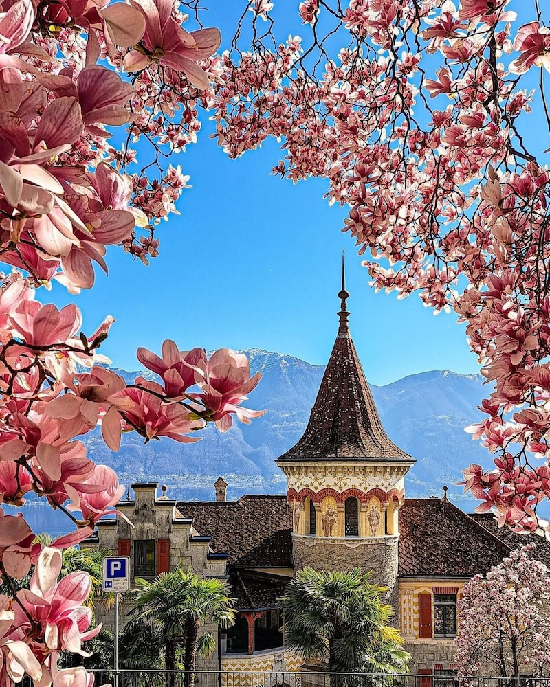One & Only Losone Apartment
