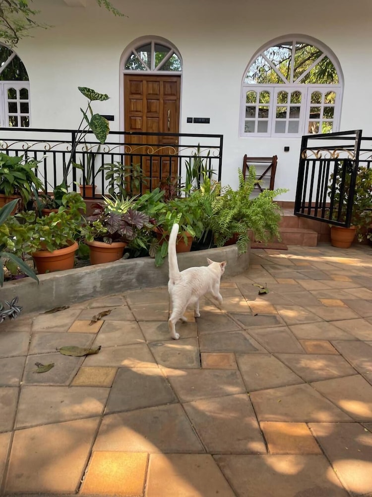Whispering Palms Anjuna