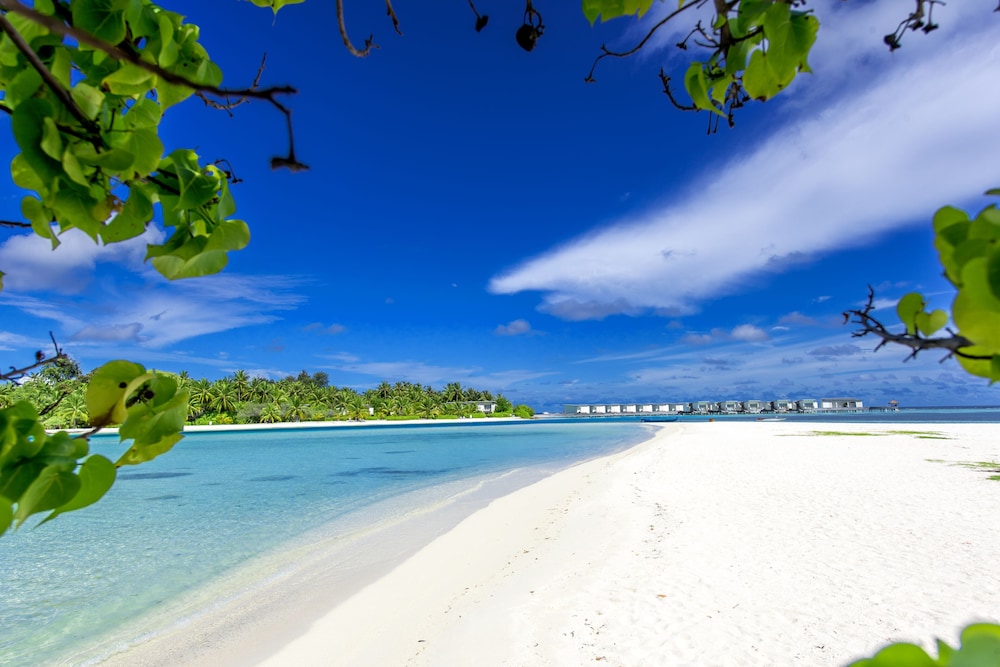 Ithaa Beach Maldives