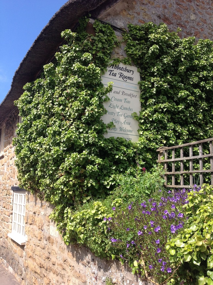 Abbotsbury Tea Rooms