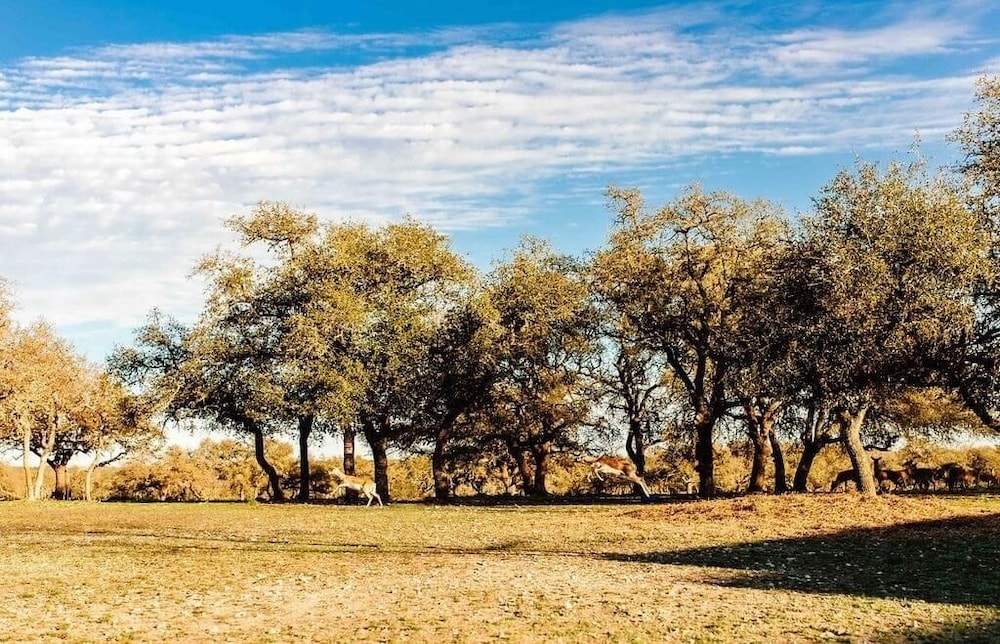 Cowboys and Angels Retreat