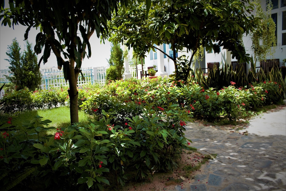 Photo 24