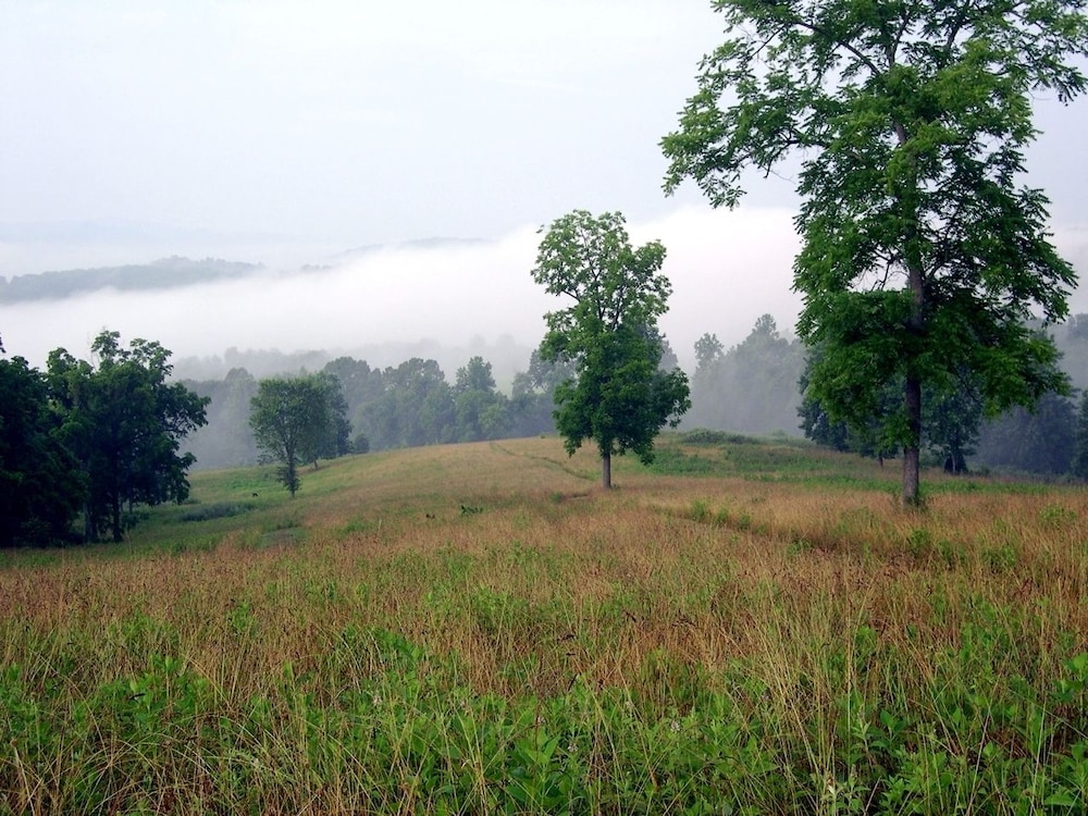 Lexington Vacations - DeHart Cabin - Property Image 26