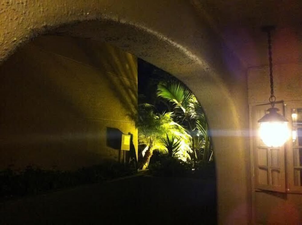 Photo 32