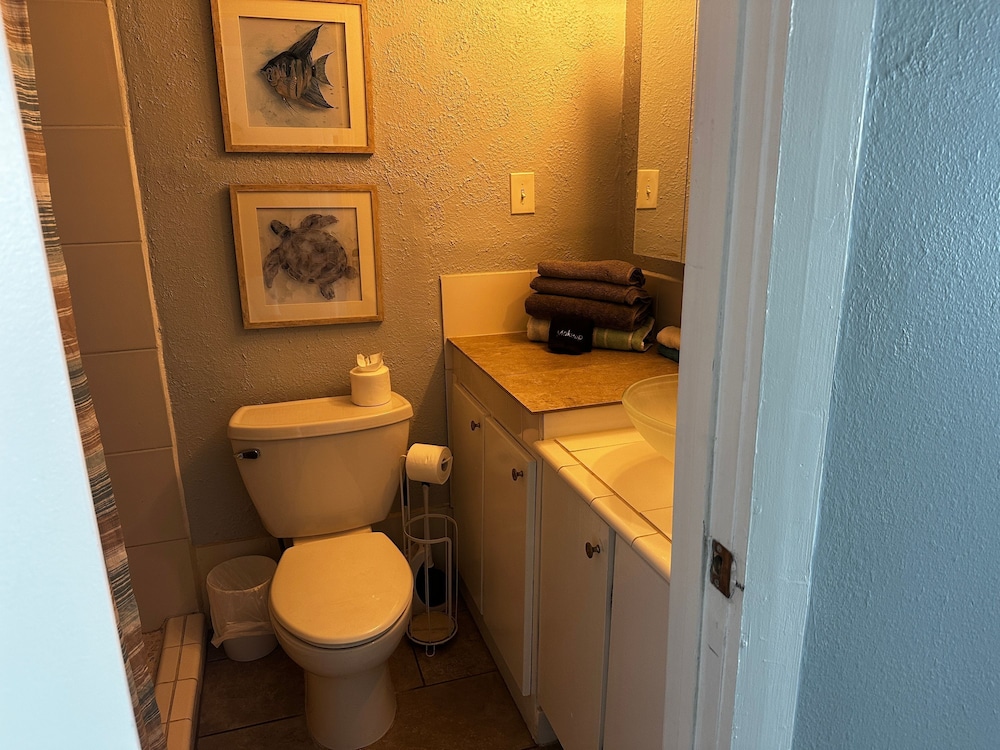 Beach Front Ocean View Condo - Top of the Gulf 615