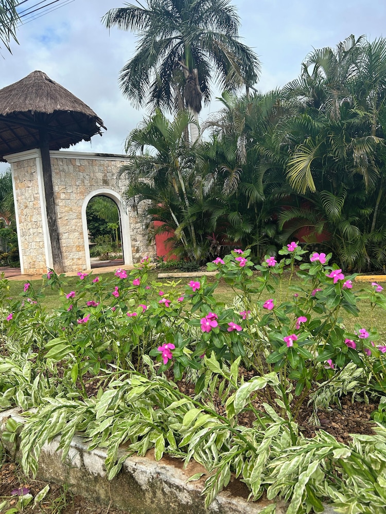 Photo 42