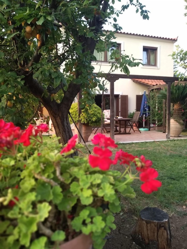 Photo 22
