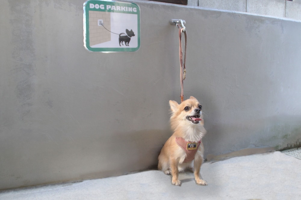 Photo 21