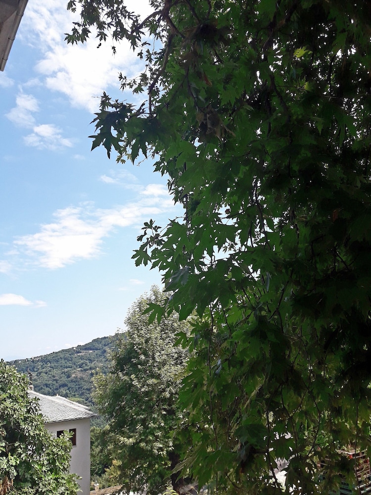 Guesthouse FILIREA