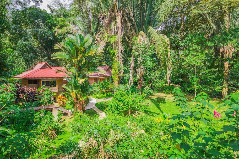 Hotel el Mono Feliz