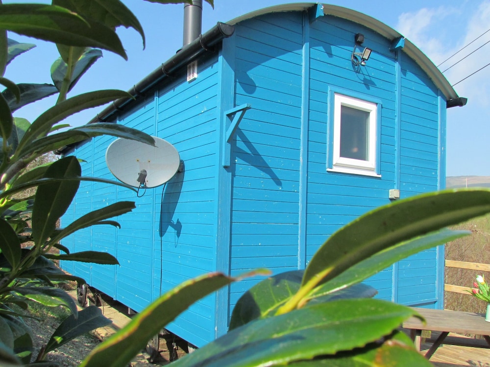 Cuckoo at Wild Valley Huts