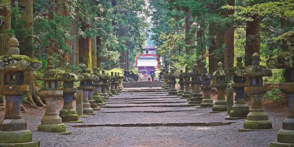 Photo 41