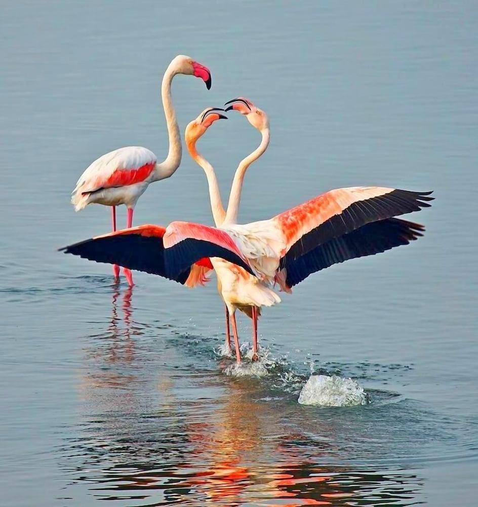 Ixnilatis - Property Image 9