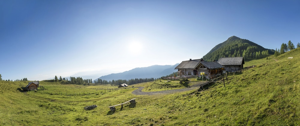 Almdorf Flachau