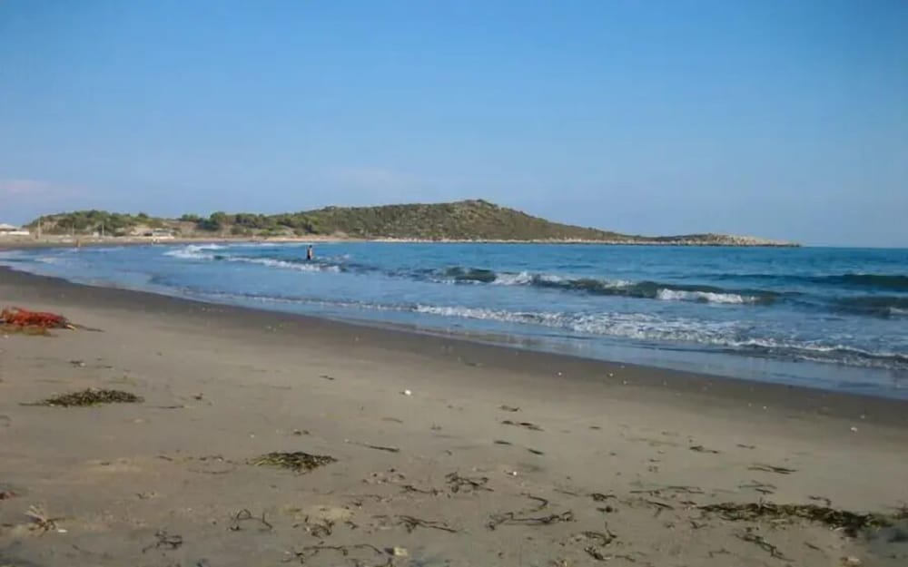 Photo 44